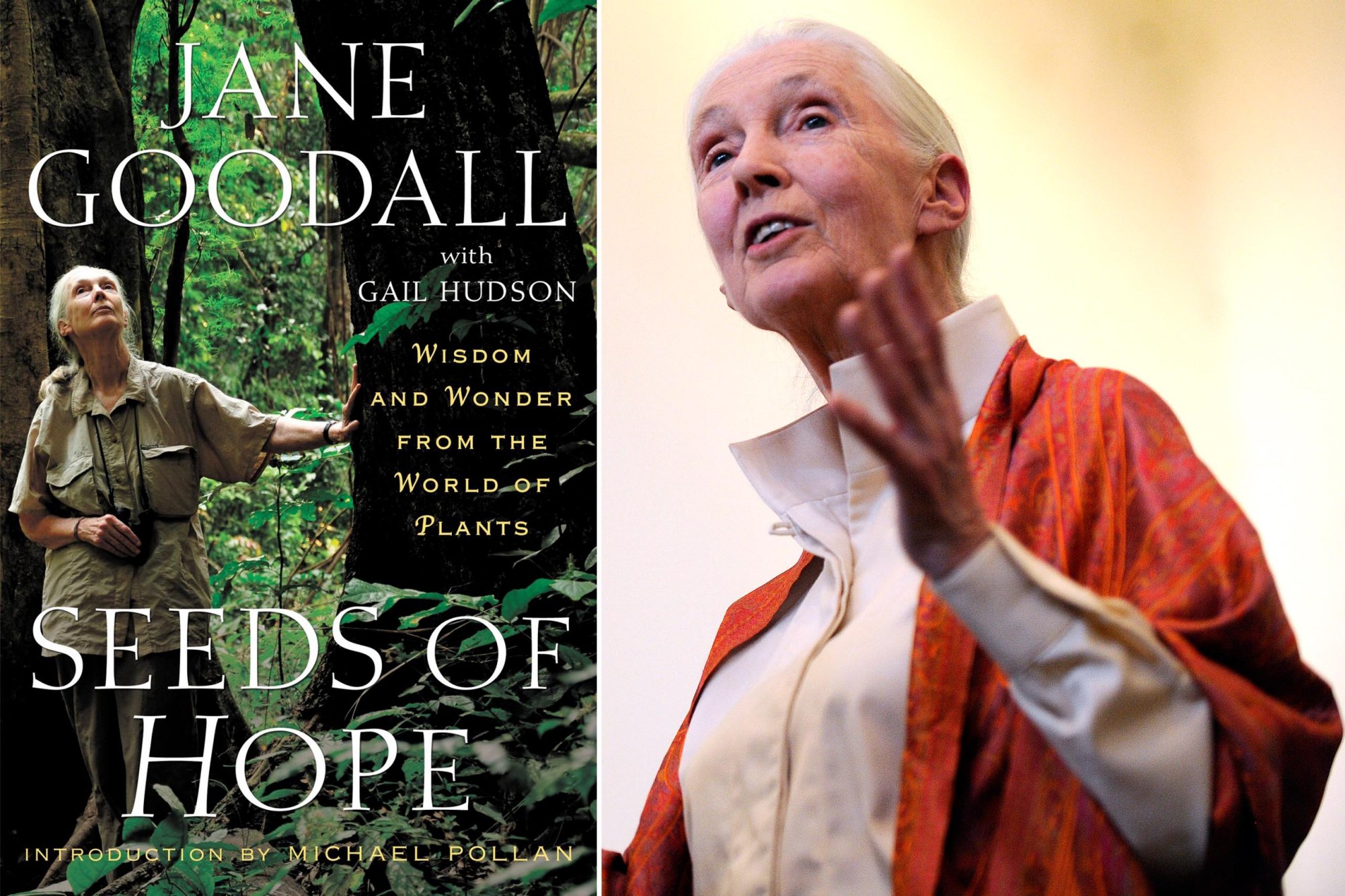 Jane Goodall