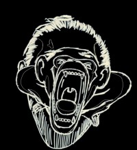 tete dessin singe